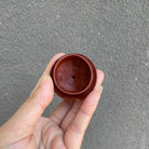Huo Yan Gui Long 250cc - Yixing Handmade Teapot 江苏宜兴