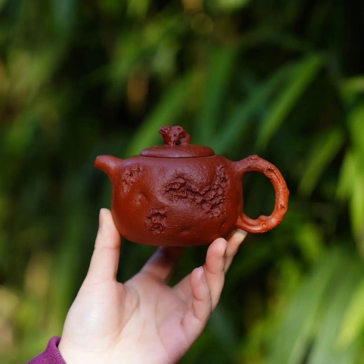 Jin Chan Gong Chun 230cc - Yixing Handmade Teapot 江苏宜兴