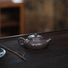 Jin Wen Jing Yue 100cc - Yixing Handmade Teapot 江苏宜兴