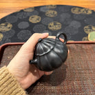 Jin Wen Ling Long 135cc - Yixing Handmade Teapot 江苏宜兴