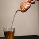 Jin Wen Shi Piao 150cc - Yixing Handmade Teapot 江苏宜兴