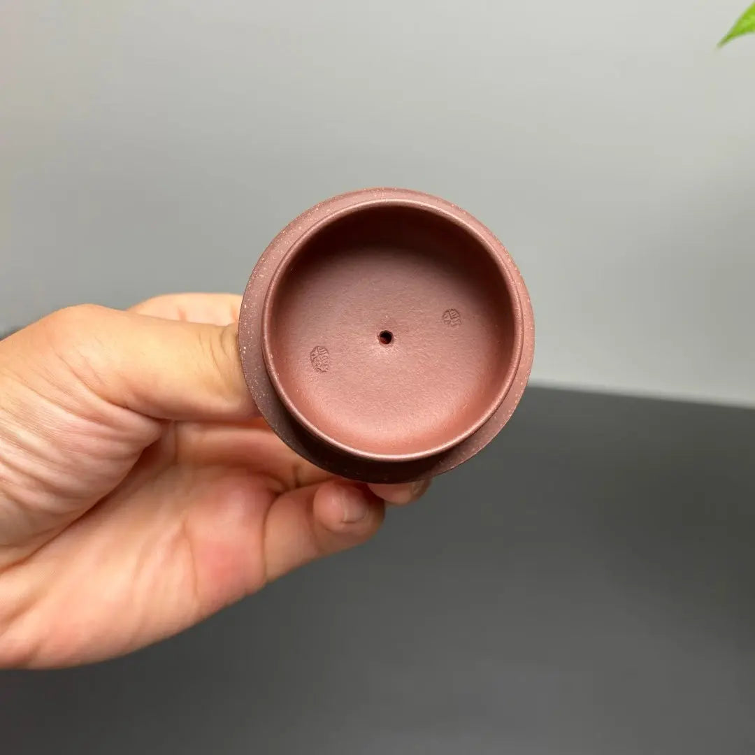 Jing Lan 200cc - Yixing Handmade Teapot 江苏宜兴