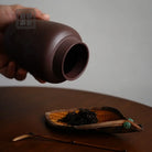 Jing Wu Chen - Yixing Handmade Zisha Teacan zycschina