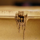 Jiu Long Cheng Xiang - Dry Bubble Tray 江苏宜兴