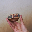 Jiu Se Lu - Yixing Handmade Teacup 江苏宜兴