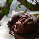 Jiu Wei Hu - Tea Pet 江苏宜兴