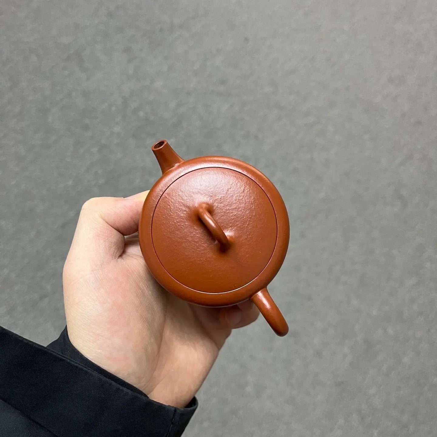 Ju Lun 130cc - Yixing Handmade Teapot 江苏宜兴
