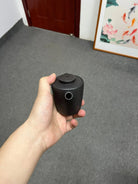 Ju Lun 180cc - Yixing Handmade Teapot 江苏宜兴