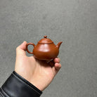 Li Shi 120cc - Yixing Handmade Teapot 江苏宜兴