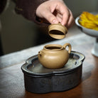 Lian Zi 150cc - Yixing Handmade Teapot 江苏宜兴