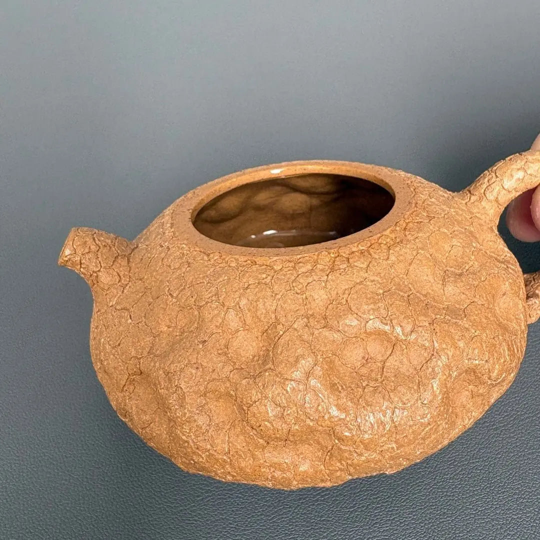 Ling Zhi Gong Chun 100cc - Yixing Handmade Teapot 江苏宜兴
