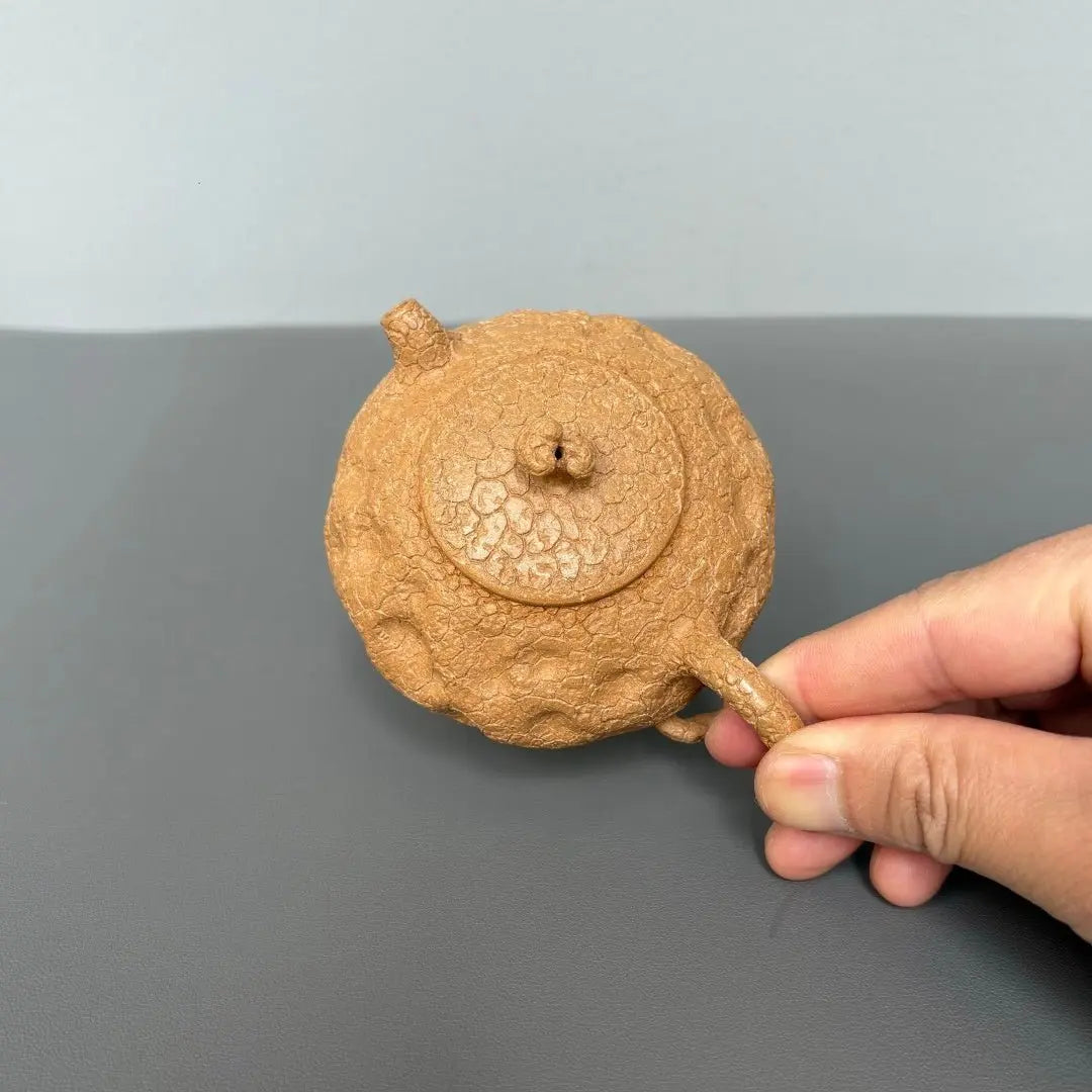 Ling Zhi Gong Chun 100cc - Yixing Handmade Teapot 江苏宜兴