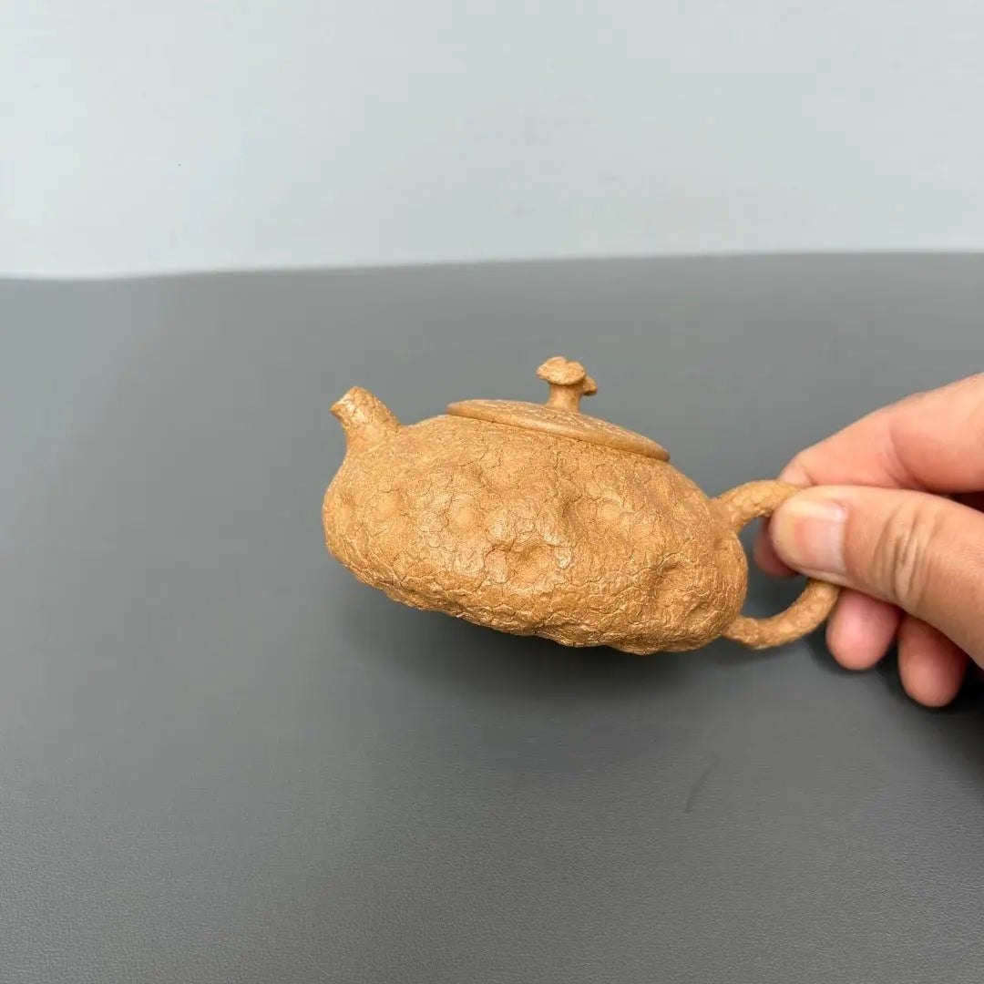 Ling Zhi Gong Chun 100cc - Yixing Handmade Teapot 江苏宜兴