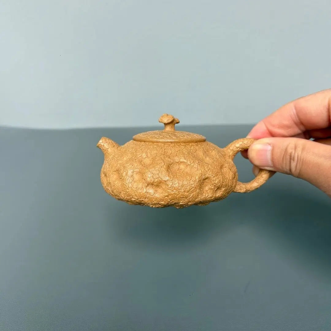 Ling Zhi Gong Chun 100cc - Yixing Handmade Teapot 江苏宜兴