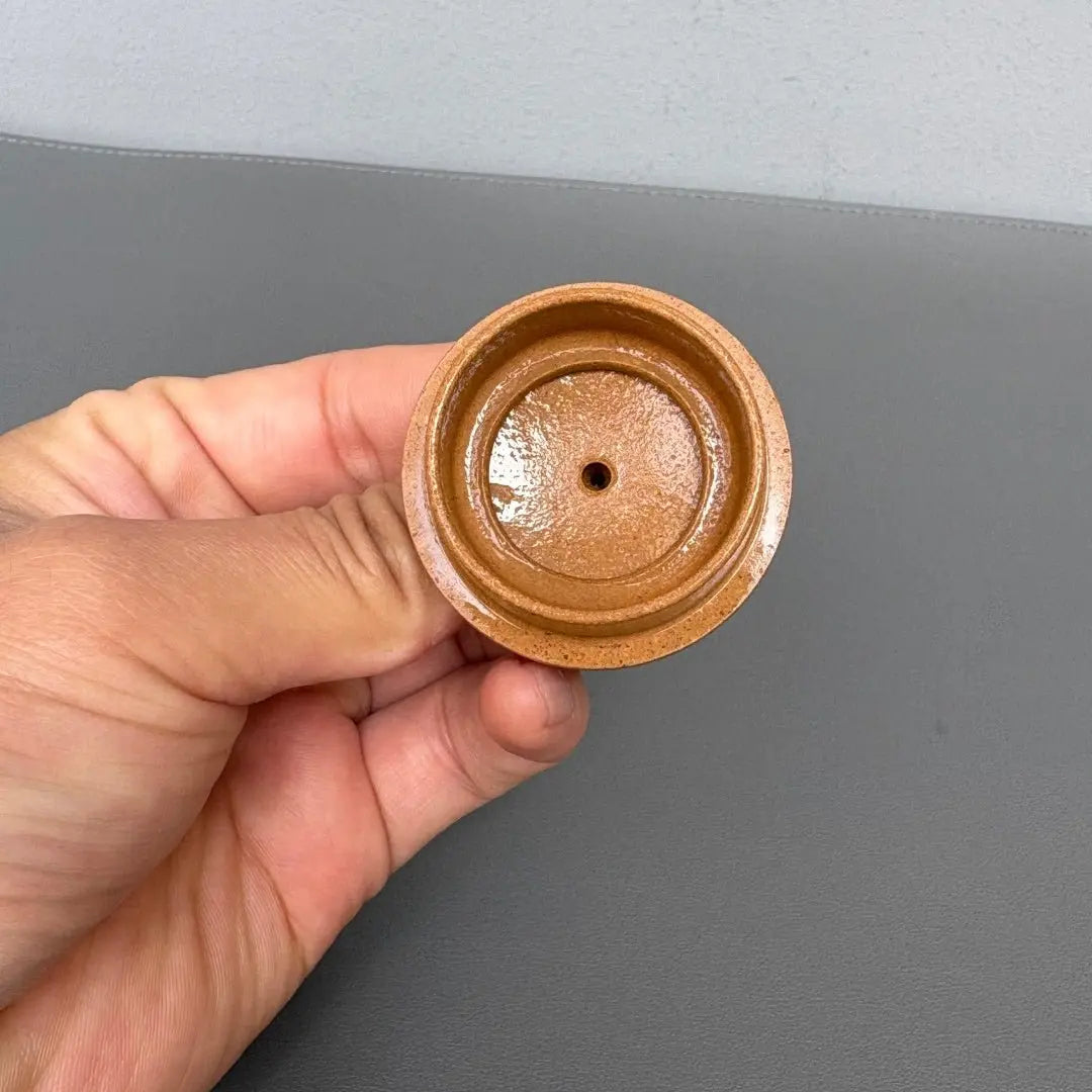 Ling Zhi Gong Chun 100cc - Yixing Handmade Teapot 江苏宜兴