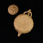 Ling Zhi Gong Chun 190cc - Yixing Handmade Teapot 江苏宜兴