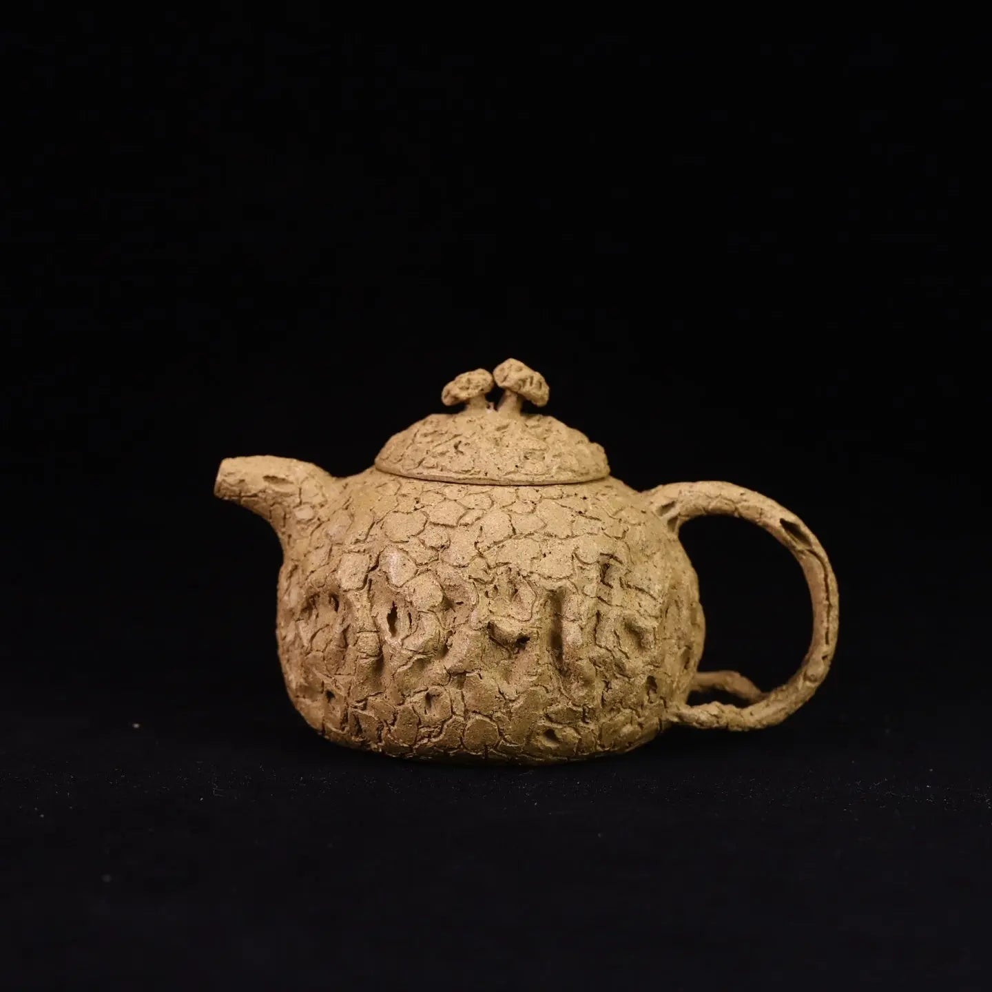 Ling Zhi Gong Chun 190cc - Yixing Handmade Teapot 江苏宜兴