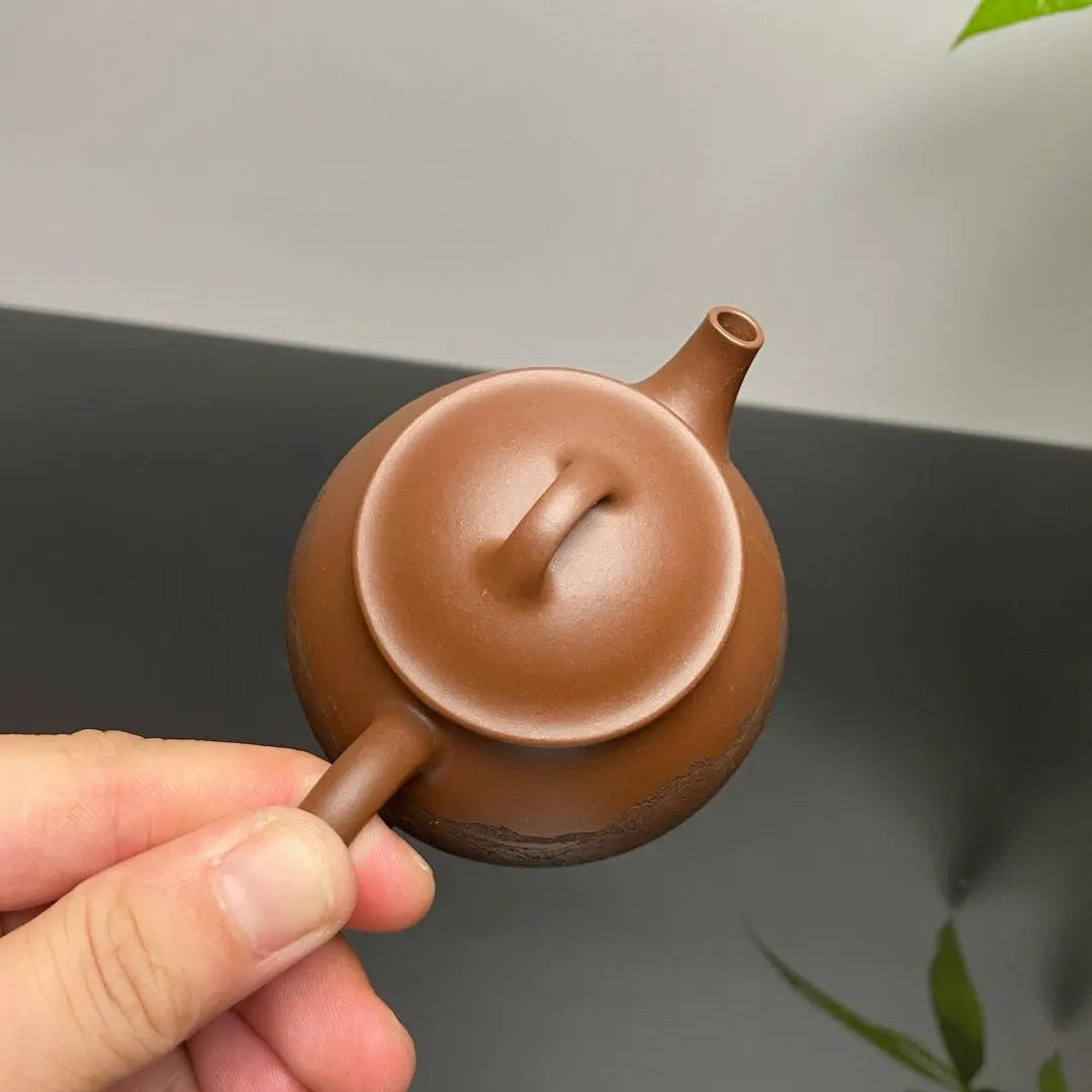 Ling Zhu 160cc - Yixing Handmade Teapot 江苏宜兴