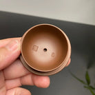 Ling Zhu 160cc - Yixing Handmade Teapot 江苏宜兴