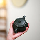 Liu Fang Ming Lu 190cc - Yixing Handmade Teapot 江苏宜兴