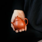 Liu Fang Pan Hu 100cc - Yixing Handmade Teapot 江苏宜兴
