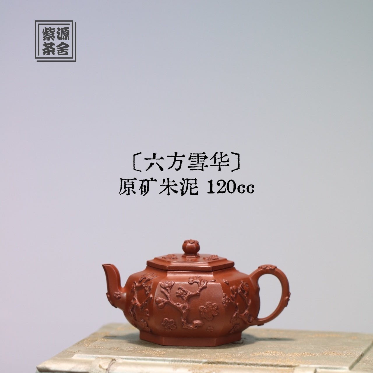 Liu Fang Xue Hua 120cc - Yixing Handmade Teapot 江苏宜兴