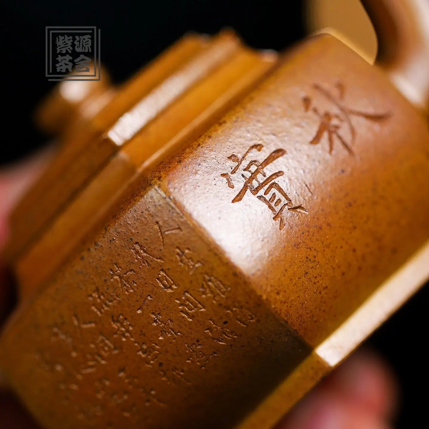 Liu Fang Xue Hua 160cc - Yixing Handmade Teapot 江苏宜兴