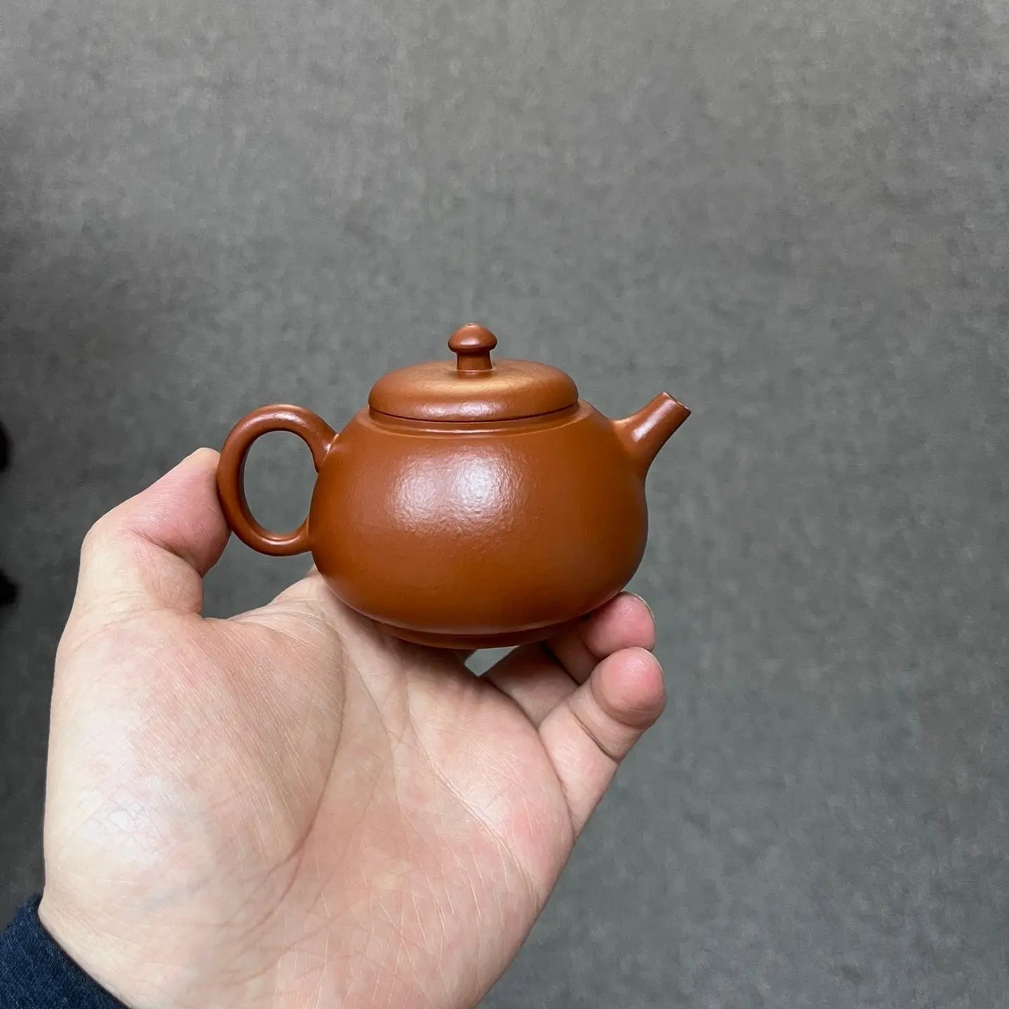 Long Dan 150cc - Yixing Handmade Teapot 江苏宜兴