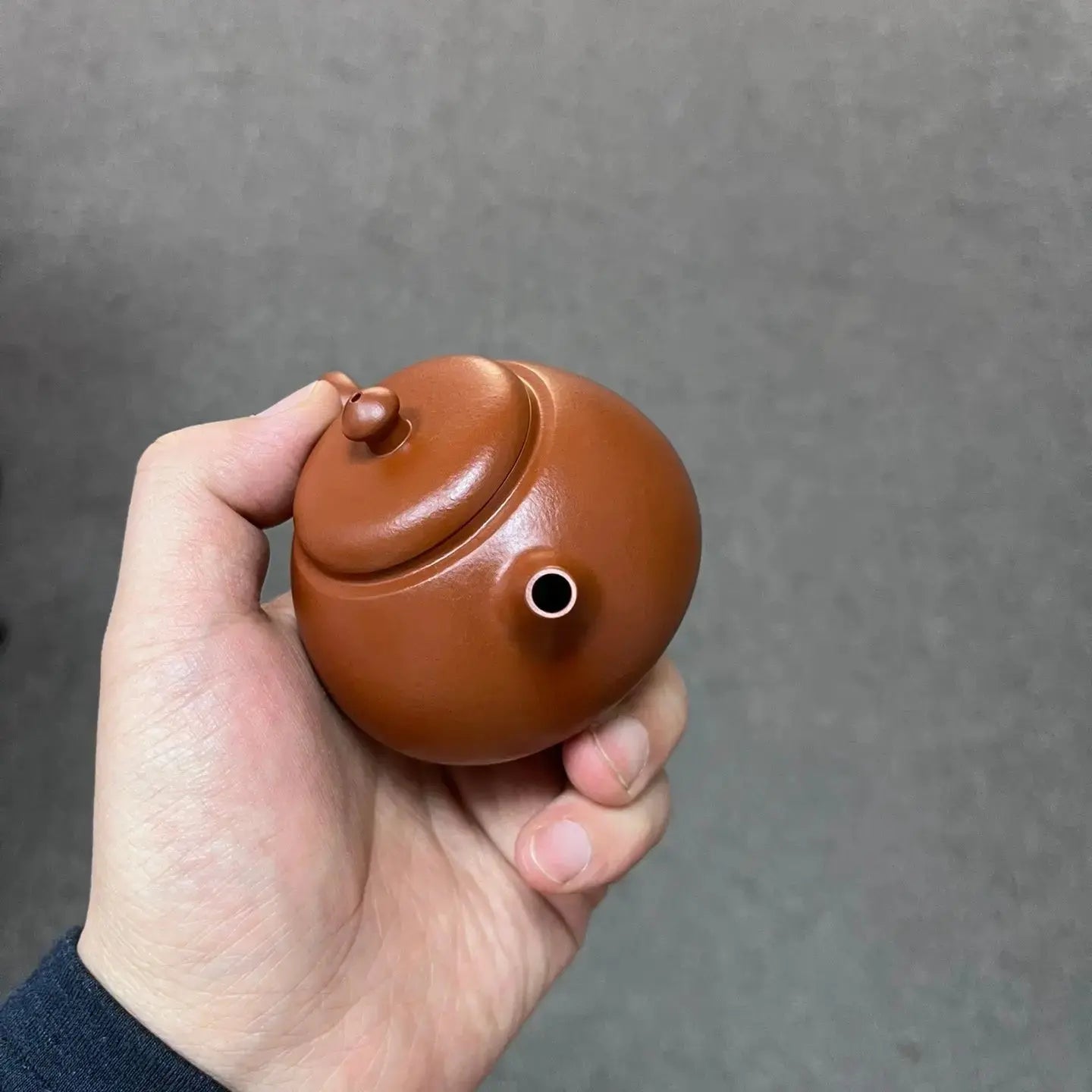 Long Dan 150cc - Yixing Handmade Teapot 江苏宜兴