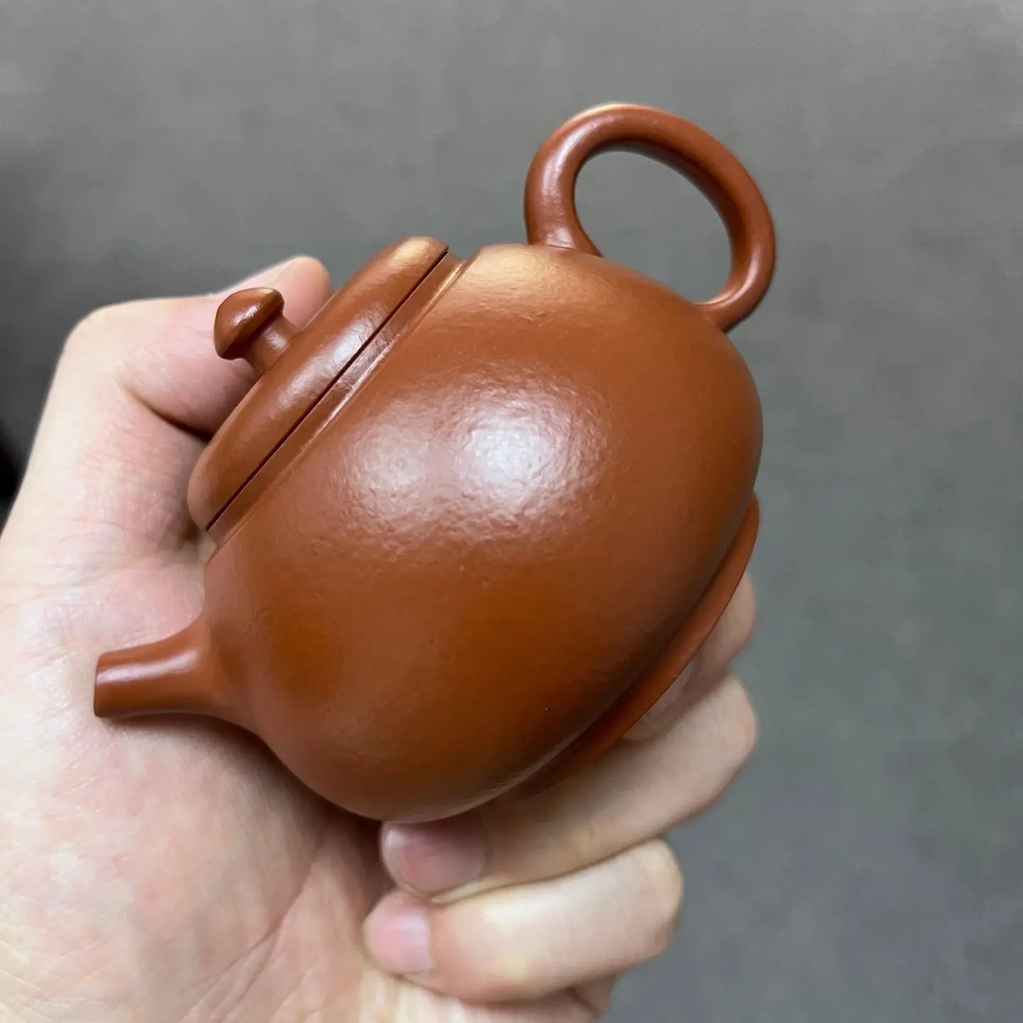 Long Dan 150cc - Yixing Handmade Teapot 江苏宜兴