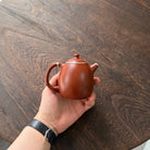 Long Dan 200cc - Yixing Handmade Teapot 江苏宜兴