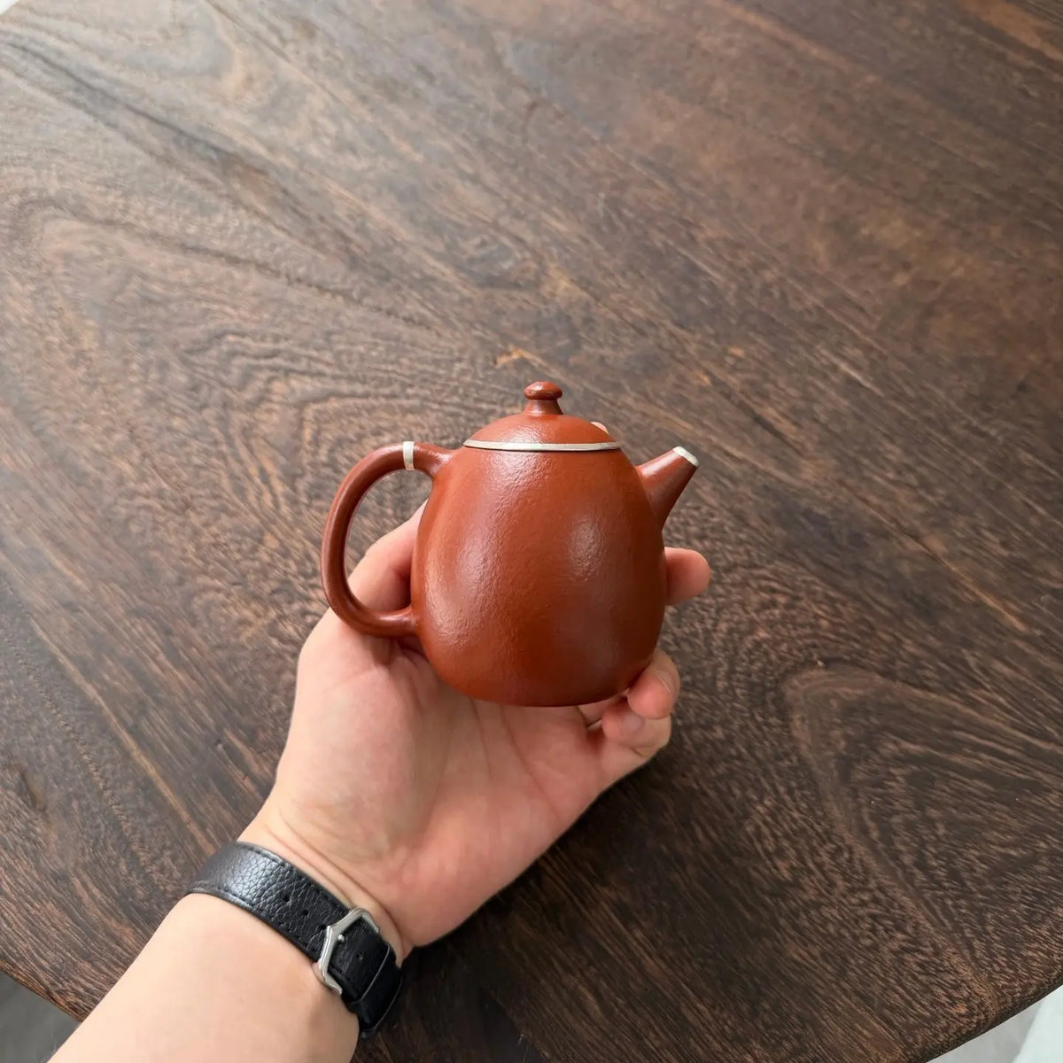 Long Dan 200cc - Yixing Handmade Teapot 江苏宜兴
