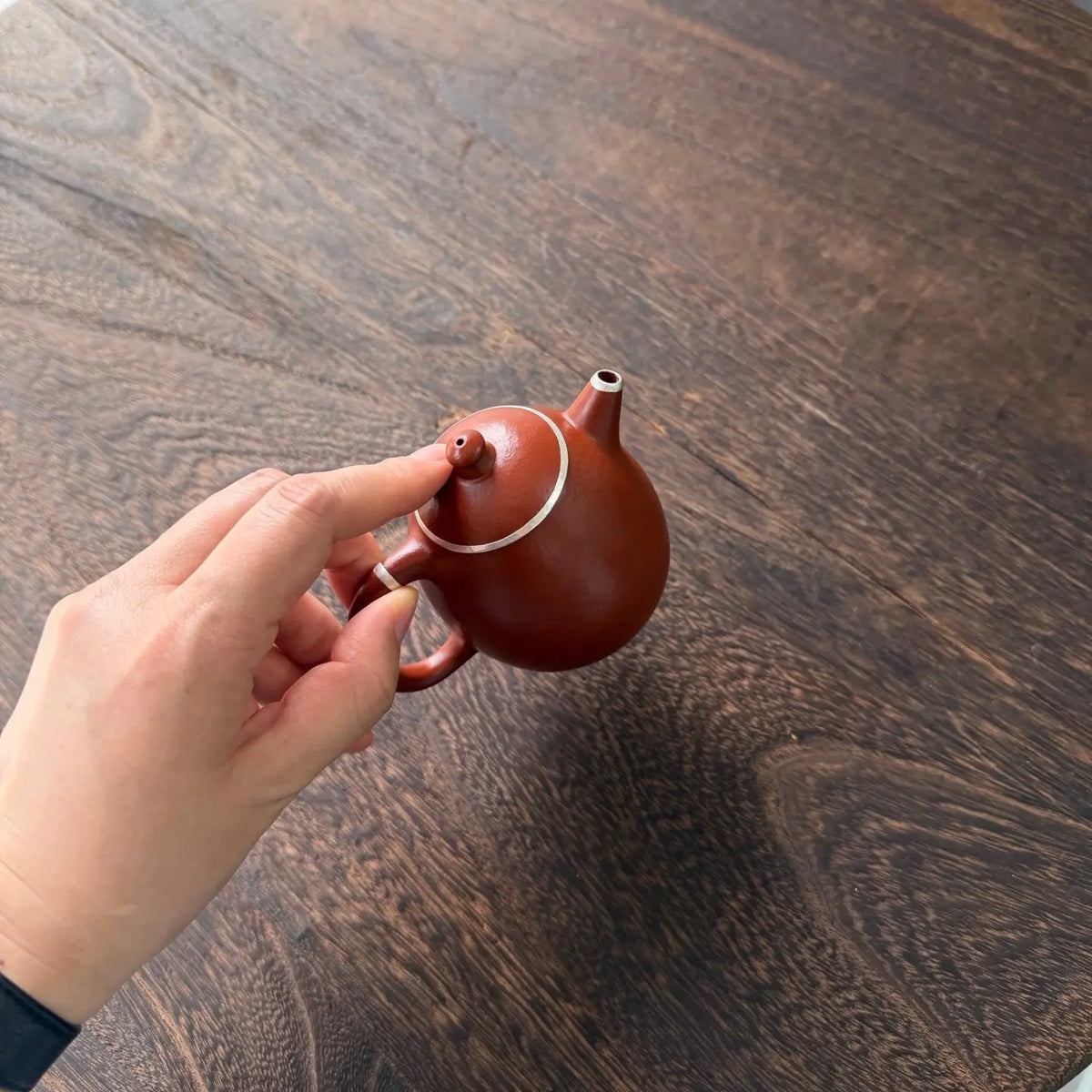 Long Dan 200cc - Yixing Handmade Teapot 江苏宜兴
