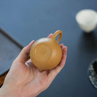 Long Mao 90cc - Yixing Handmade Teapot 江苏宜兴