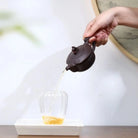 Long Quan 180cc - Yixing Handmade Teapot 江苏宜兴