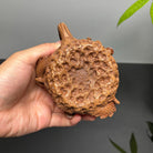 Long Teng Gong Chun 220cc - Yixing Handmade Teapot zycschina