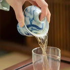 Long Teng Tu - Jing De Zhen Porcelain Gaiwan zycschina