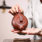Long Yao Qing 210cc - Yixing Handmade Teapot 江苏宜兴
