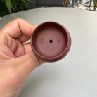 Ma Dao Cheng Gong 260cc - Yixing Handmade Teapot 江苏宜兴