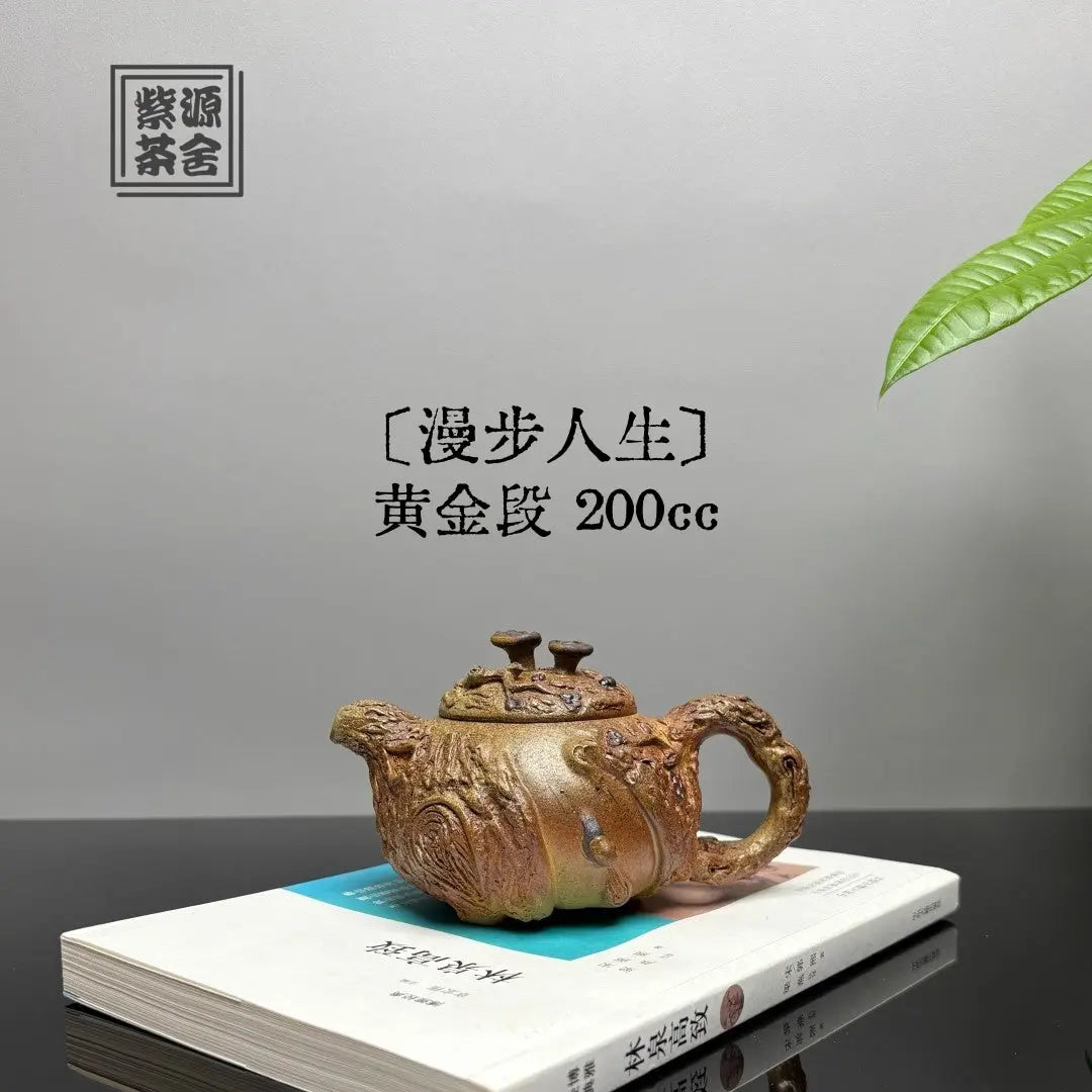 Man Bu Ren Sheng 200cc - Yixing Handmade Teapot 江苏宜兴