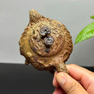 Man Bu Ren Sheng 200cc - Yixing Handmade Teapot 江苏宜兴