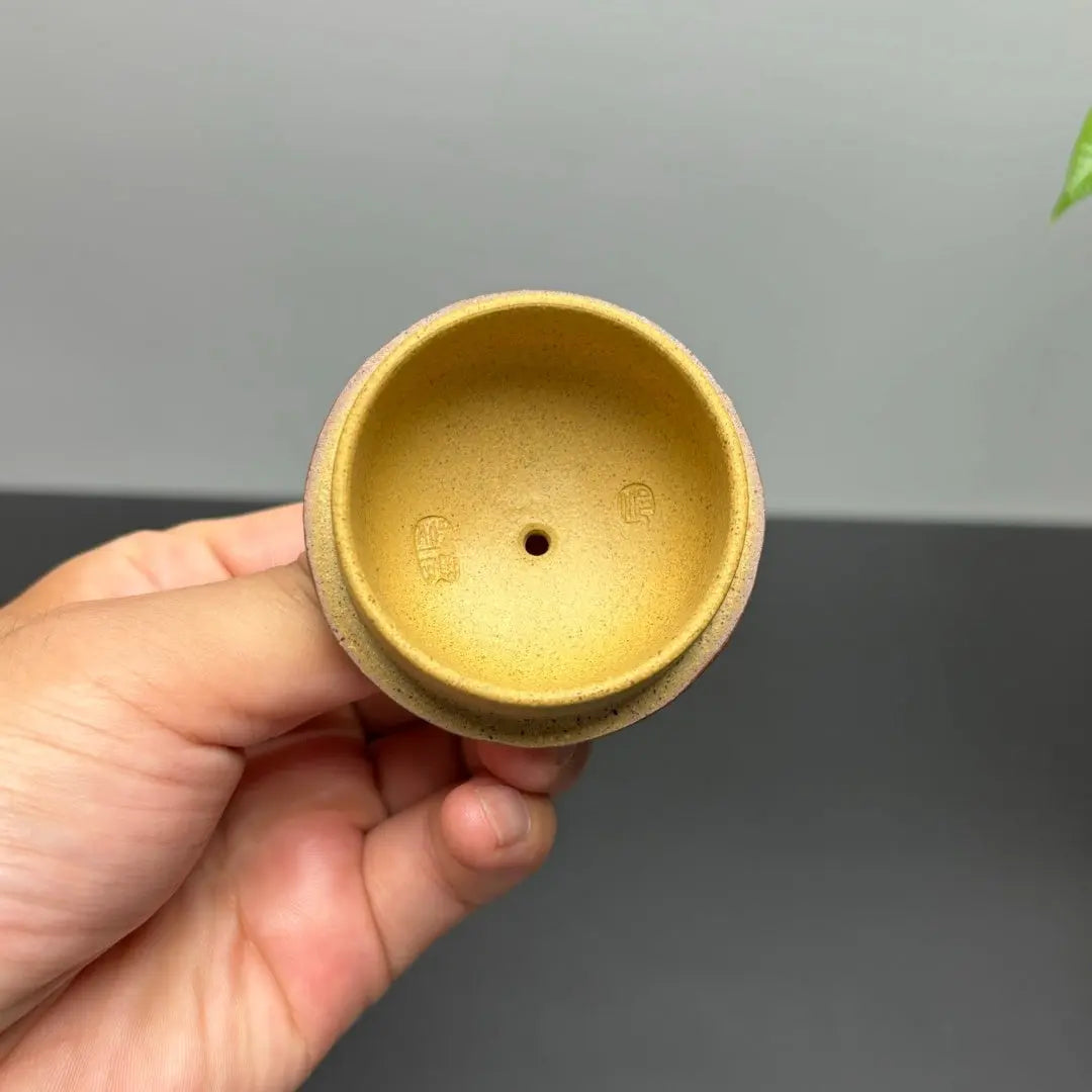 Man Bu Ren Sheng 200cc - Yixing Handmade Teapot 江苏宜兴