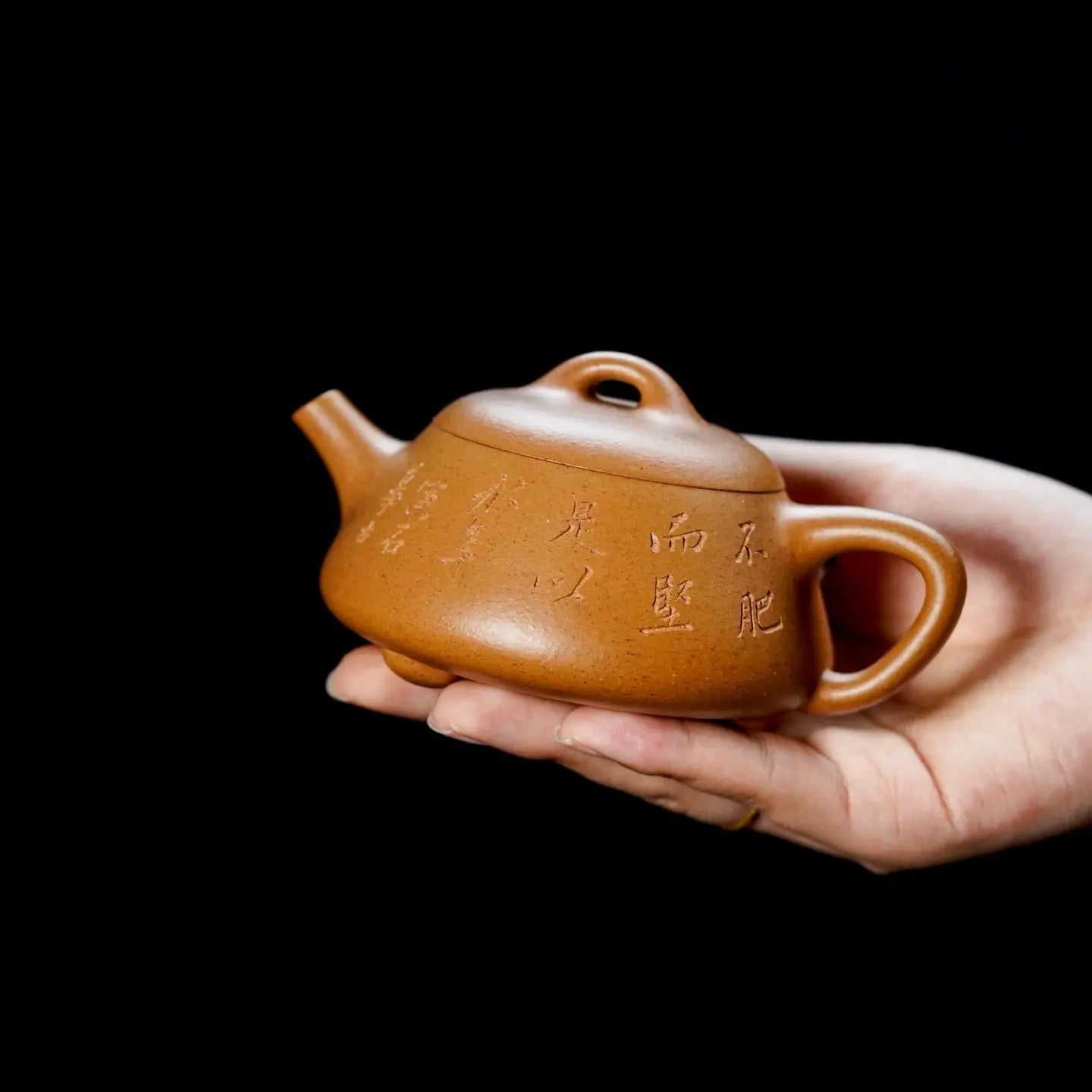 Man Sheng Shi Piao 180cc - Yixing Handmade Teapot 江苏宜兴
