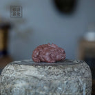 Mi Cai Pi Xiu - Tea Pet 江苏宜兴