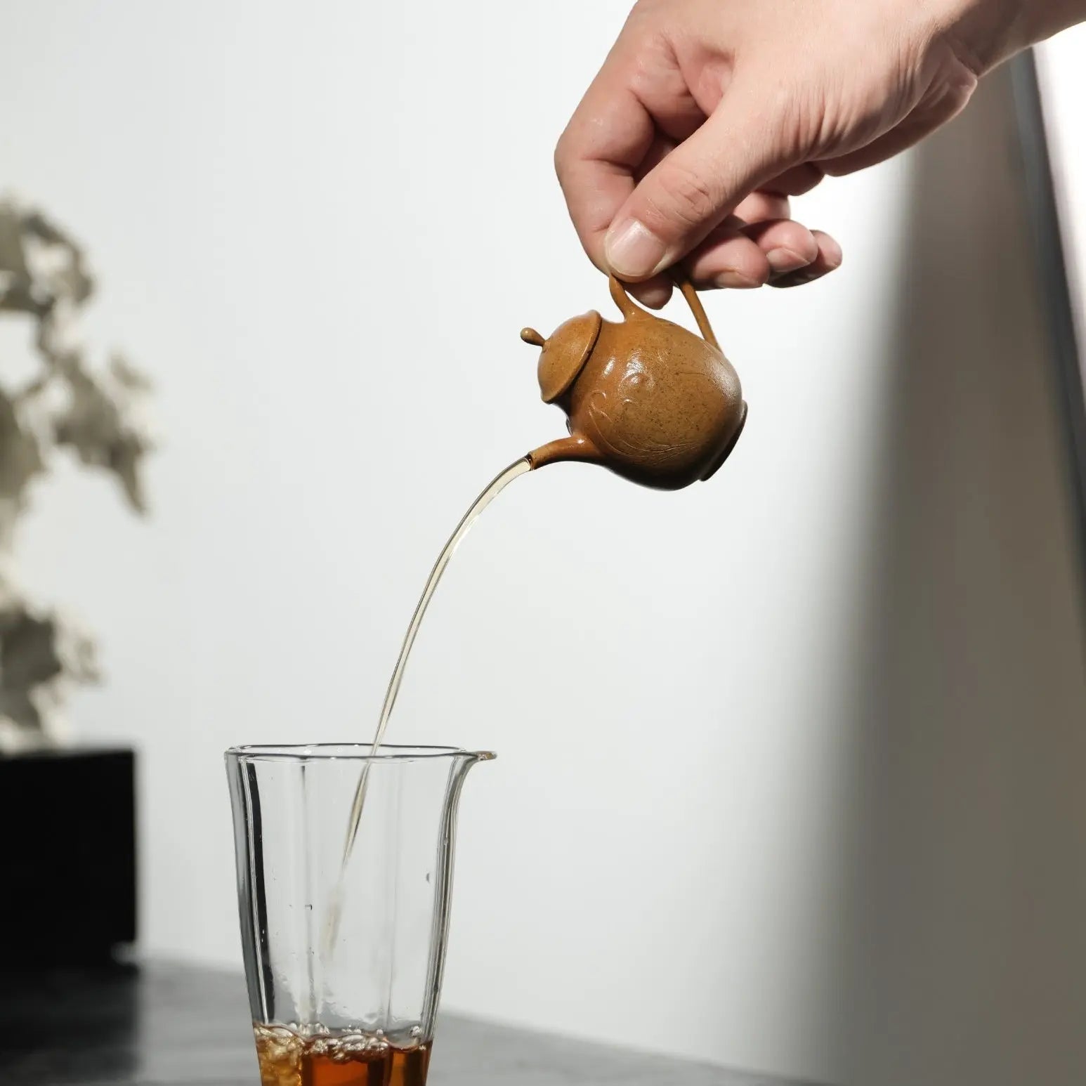 Miao You 50cc - Yixing Handmade Teapot 江苏宜兴