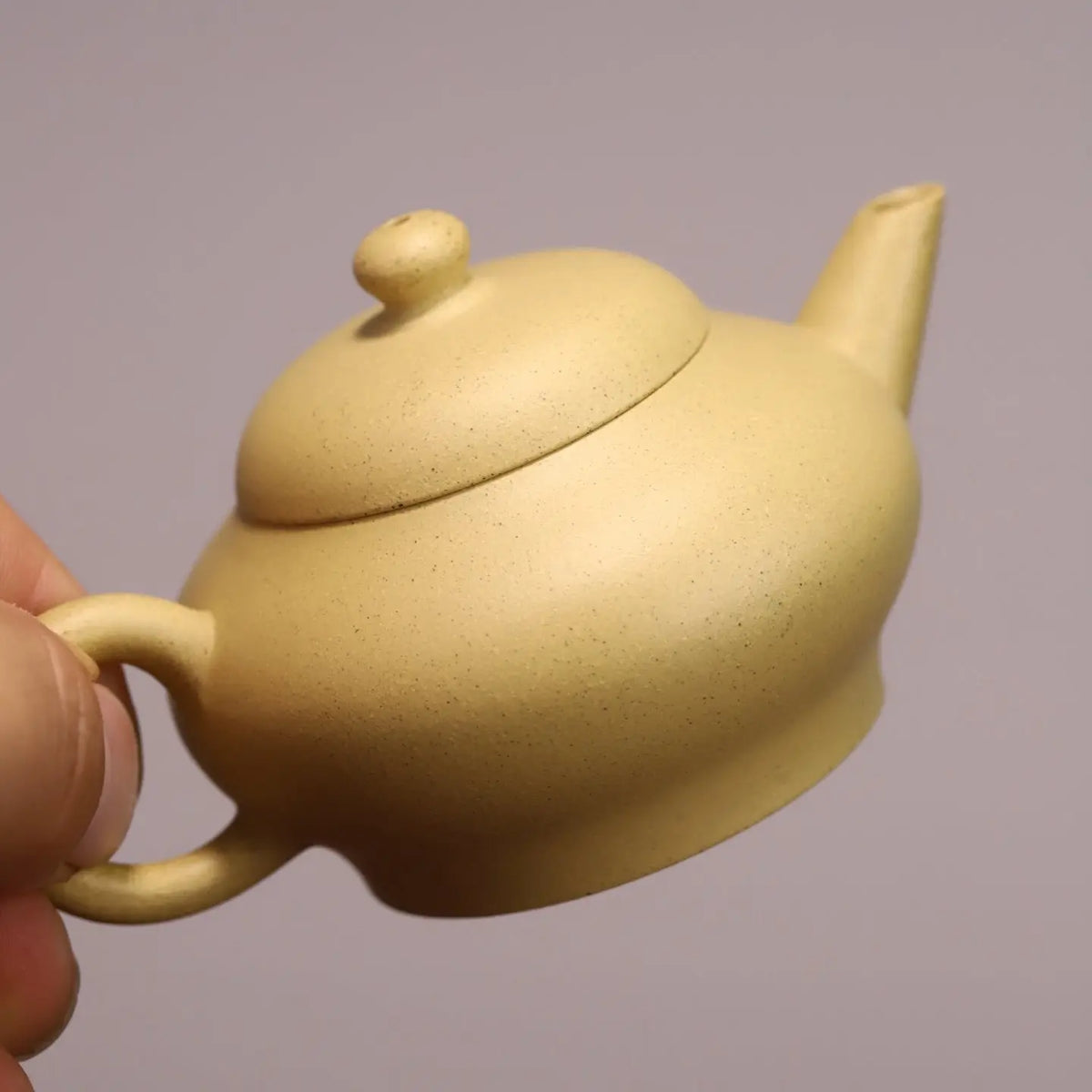 Ming Shi Shui Ping 100cc - Yixing Handmade Teapot 江苏宜兴