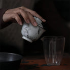 Mo Cai Mei Hua 110cc - Jing De Zhen Porcelain Gaiwan zycschina