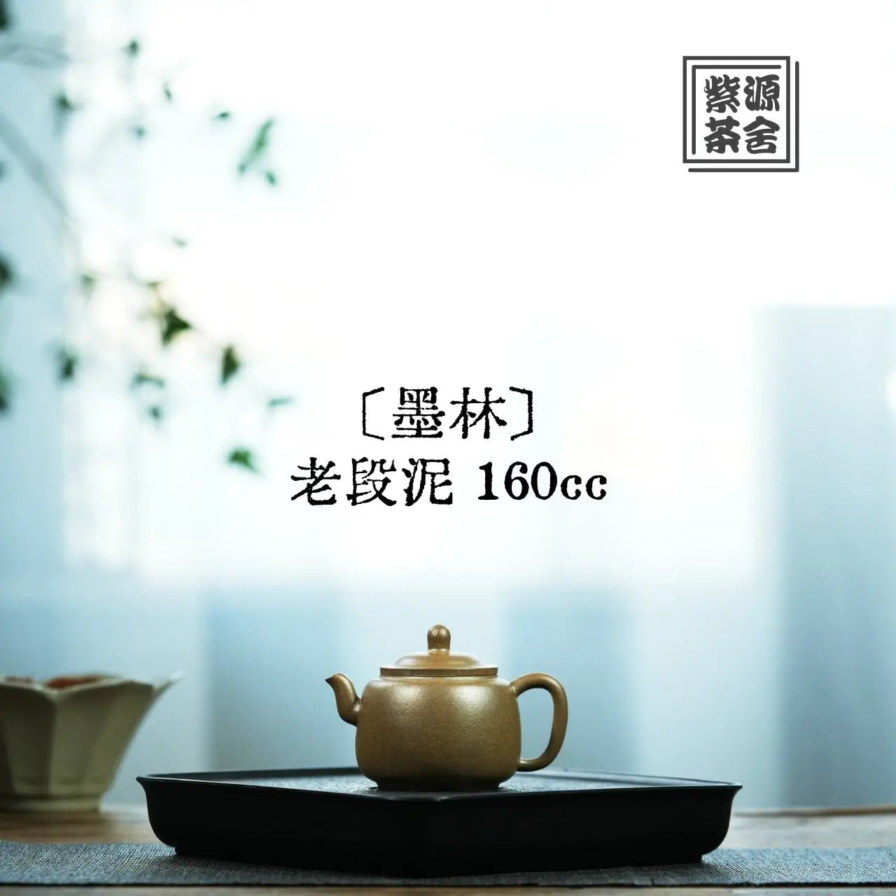 Mo Lin 160cc - Yixing Handmade Teapot 江苏宜兴