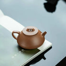 Na Piao 125cc - Yixing Handmade Teapot 江苏宜兴