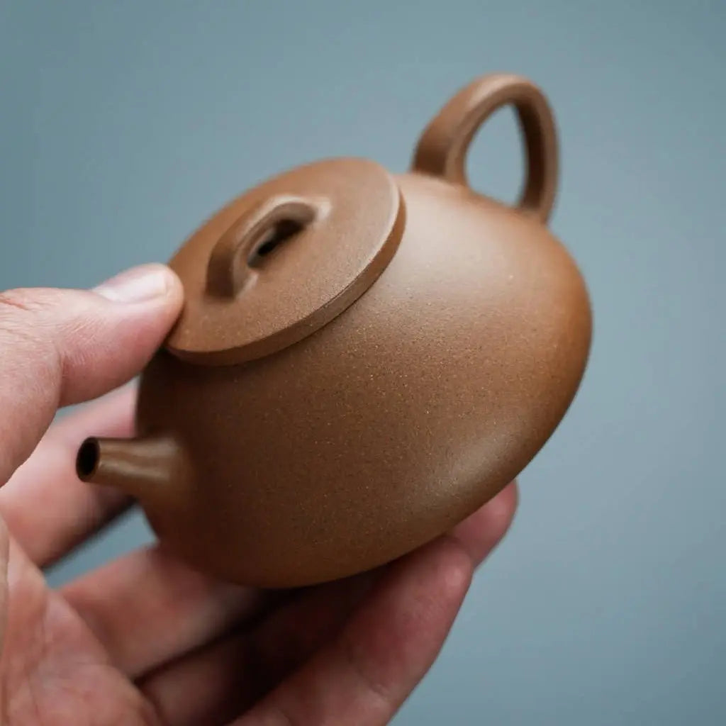 Na Piao 125cc - Yixing Handmade Teapot 江苏宜兴